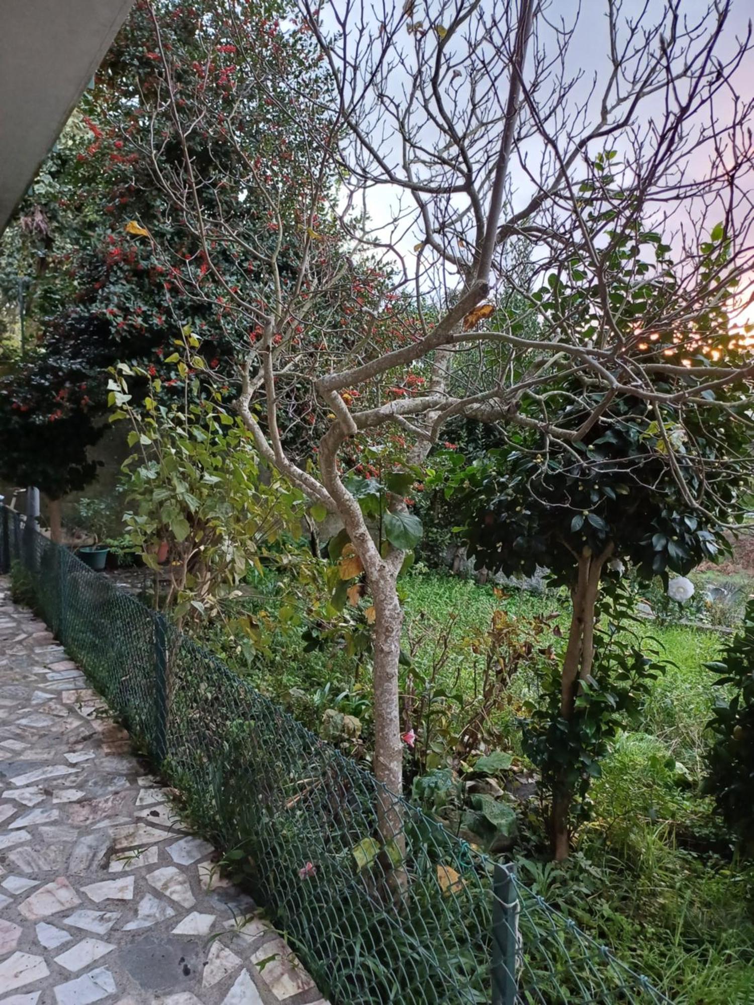 Amarante Residence Exterior foto